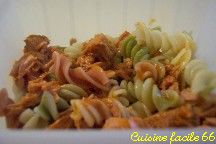 Salade de ptes (Fusilli 3 saveurs) au thon