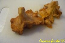 Girolles