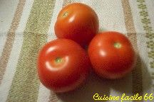 Tomate varit Montfavet