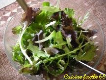 Salade de Mesclun