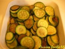 Rondelles de courgettes dores dans un plat  gratin