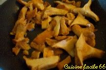 Saut de lapereau aux girolles crmes