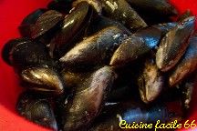 Pipe rigate aux moules crmes