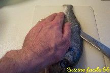 Fileter un poisson (lever les filets d’un poisson)
