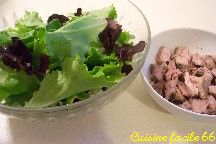 Salades verte varies au thon