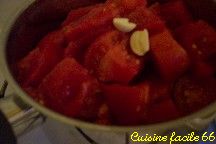 Sauce tomate nature (conserve)