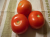 Tomates